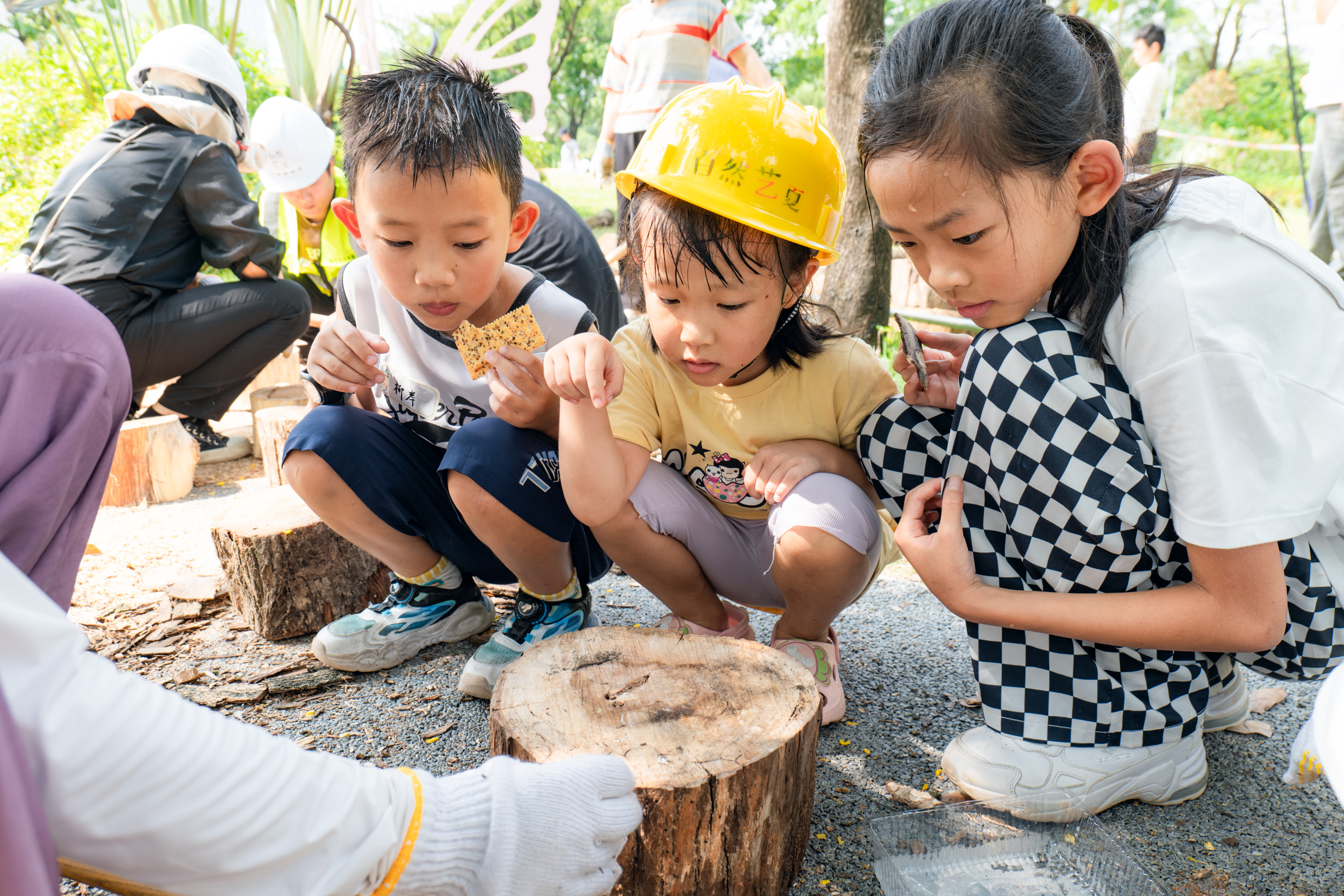 广州市自然教育课程共创开发平台.zip（实时更新中）