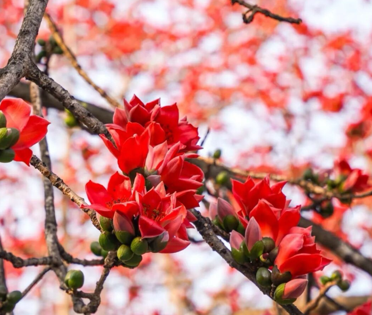 公民科学系列课程