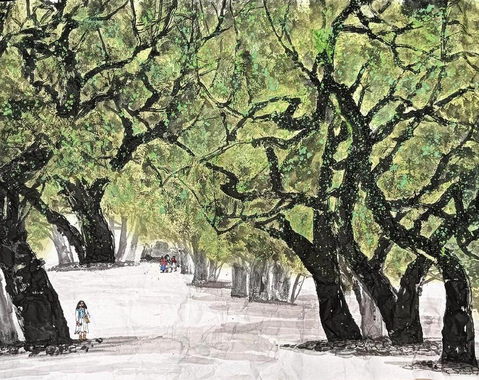 古树名木系列课程之樟香穿越百年